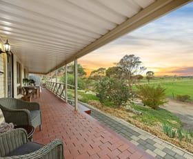 Rural / Farming commercial property for sale at 167 Kuchel Road Murray Bridge SA 5253