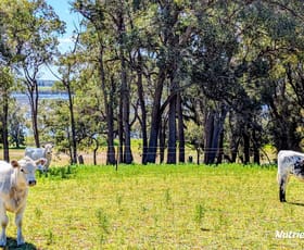 Rural / Farming commercial property for sale at Lot 53 Cowalla Road Cowalla WA 6503