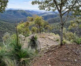 Rural / Farming commercial property for sale at Mount Coora Road Black Snake QLD 4600
