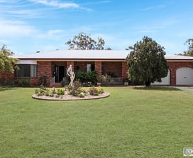 Rural / Farming commercial property for sale at 19 SEENEY ROAD Alton Downs QLD 4702