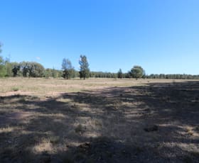Rural / Farming commercial property for sale at 0 Ouston Access Road Duaringa QLD 4712