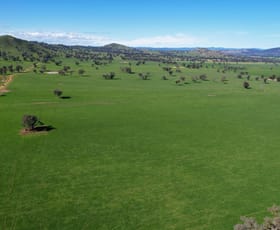Rural / Farming commercial property for sale at 0 Stonehaven Road Holbrook NSW 2644