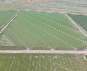 Rural / Farming commercial property for sale at 69-70 Leonard Road Coleambally NSW 2707