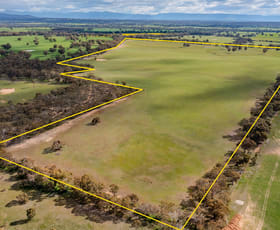 Rural / Farming commercial property for sale at . Stawell-Avoca Road Concongella VIC 3384