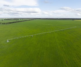 Rural / Farming commercial property for sale at 1427 Naracoorte Road Bordertown SA 5268