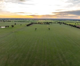 Rural / Farming commercial property for sale at Weir Road Galore NSW 2650