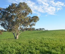 Rural / Farming commercial property for sale at Lot 296 Beggs Road Avenue Range SA 5273