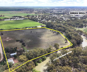 Rural / Farming commercial property for sale at 5536a Murray Valley Highway Swan Hill VIC 3585