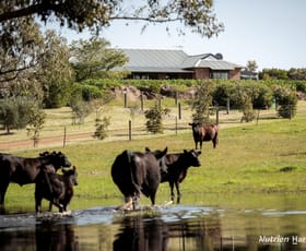 Rural / Farming commercial property for sale at Lot 407 Telegraph Road Monjingup WA 6450