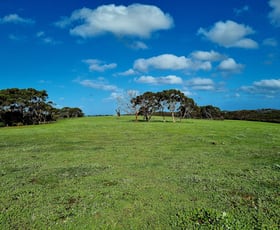 Rural / Farming commercial property for sale at 958 Crabbs Road Newland SA 5223