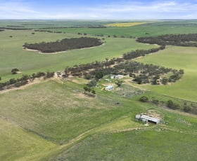 Rural / Farming commercial property for sale at 1888 Hundred Line Road Perponda SA 5308