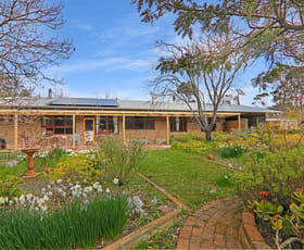 Rural / Farming commercial property for sale at Centre Road Carapooee West VIC 3477