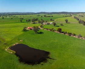 Rural / Farming commercial property for sale at 25 Wrigleys Road Big Springs NSW 2650