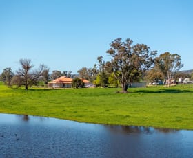 Rural / Farming commercial property for sale at 25 Wrigleys Road Big Springs NSW 2650