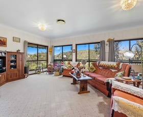 Rural / Farming commercial property for sale at 437 Greens Road Lower Portland NSW 2756