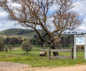 Rural / Farming commercial property for sale at 1763 Wongwibinda Road Armidale NSW 2350