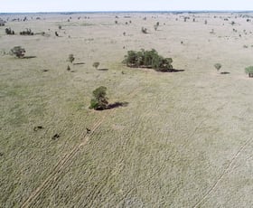 Rural / Farming commercial property for sale at 'Balboa' 2363 Roma - Southern Road Roma QLD 4455
