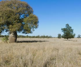 Rural / Farming commercial property for sale at 'Balboa' 2363 Roma - Southern Road Roma QLD 4455