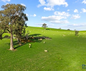 Rural / Farming commercial property for sale at 890 Perks Road Rugby NSW 2583