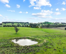 Rural / Farming commercial property for sale at 890 Perks Road Rugby NSW 2583