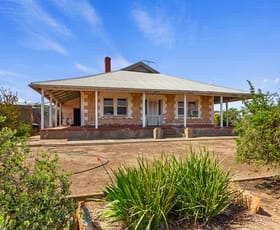 Rural / Farming commercial property for sale at 171 Hillview Road South Hummocks SA 5550