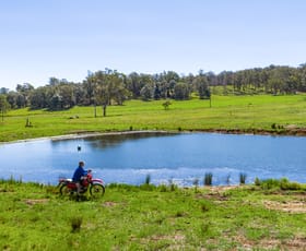 Rural / Farming commercial property for sale at Lot 1/203 Collingwood Road Hampton QLD 4352
