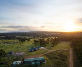 Rural / Farming commercial property for sale at 89 Braidwood Road Mount Barker WA 6324