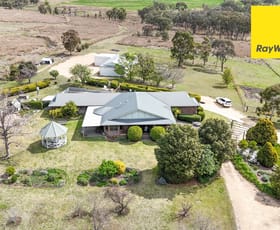 Rural / Farming commercial property for sale at 540 Old Bundarra Road Inverell NSW 2360
