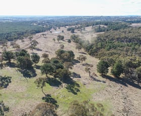 Rural / Farming commercial property for sale at 1173 Cargo Road Lidster NSW 2800