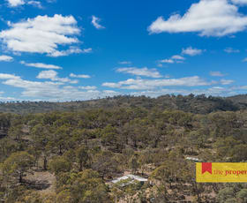 Rural / Farming commercial property for sale at 543 Clarkes Creek Road Mudgee NSW 2850