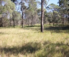 Rural / Farming commercial property sold at Lot 1 Shannondale Road Shannondale NSW 2460