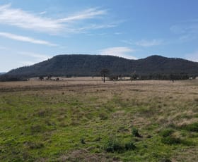 Rural / Farming commercial property for sale at 1022 Ridgelands Road Muswellbrook NSW 2333