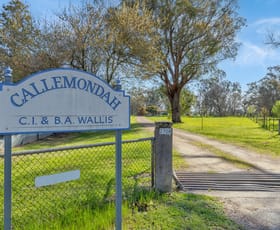 Rural / Farming commercial property for sale at 2708 Wangaratta-Whitfield Road Moyhu VIC 3732