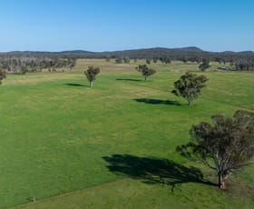 Rural / Farming commercial property for sale at 1109 Howell Road Stanborough NSW 2360