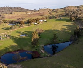 Rural / Farming commercial property for sale at 526 Windeyer Road Mudgee NSW 2850