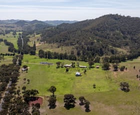 Rural / Farming commercial property for sale at 2099 Hill End Road Mudgee NSW 2850