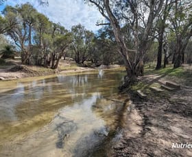 Rural / Farming commercial property for sale at 1196 Bennies Road Wanerie WA 6503
