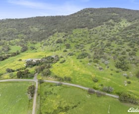 Rural / Farming commercial property for sale at 773 Boho Church Road Boho South VIC 3669