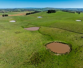 Rural / Farming commercial property for sale at 242 Bundaleer Road Newbridge NSW 2795