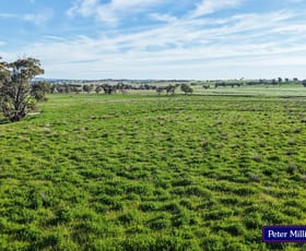 Rural / Farming commercial property for sale at 'Glenelg' 146 Suntop Road Wellington NSW 2820