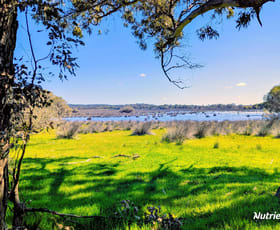 Rural / Farming commercial property for sale at Lot 52 Cowalla Road Cowalla WA 6503