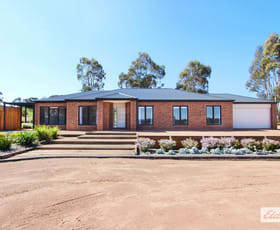 Rural / Farming commercial property for sale at 180 Pinchgut Lane Shelbourne VIC 3515