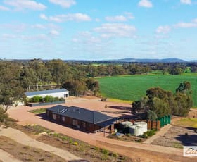 Rural / Farming commercial property for sale at 180 Pinchgut Lane Shelbourne VIC 3515