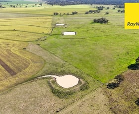 Rural / Farming commercial property for sale at 231 Middletons Lane Inverell NSW 2360