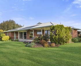 Rural / Farming commercial property sold at 235 Colac-Lavers Hill Road Elliminyt VIC 3250
