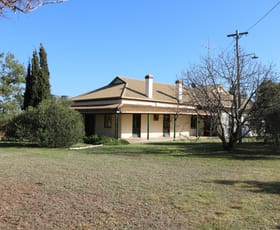 Rural / Farming commercial property for sale at 696 Back Trundle Road Parkes NSW 2870
