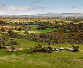 Rural / Farming commercial property for sale at 870 Valley Road Glenhope VIC 3444