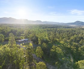 Rural / Farming commercial property for sale at 7392 Cunningham Highway Mount Edwards QLD 4309