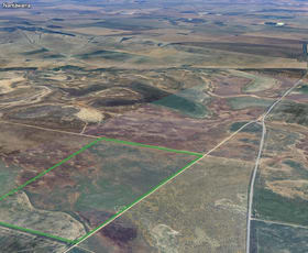 Rural / Farming commercial property for sale at 423 Wandel Road Everard Central SA 5461