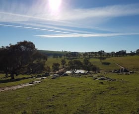Rural / Farming commercial property for sale at 2400 SAPPHIRE ROAD Wheeo NSW 2583